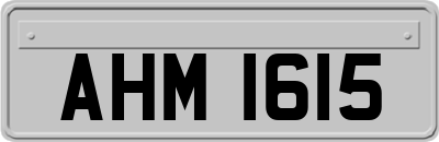AHM1615
