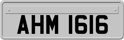 AHM1616