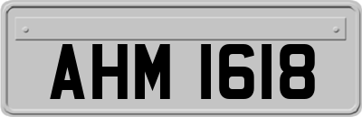 AHM1618