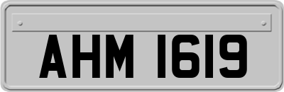 AHM1619
