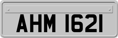 AHM1621