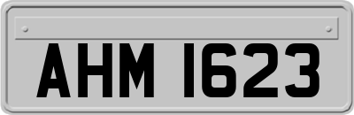 AHM1623