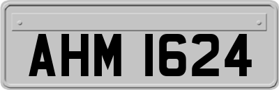 AHM1624