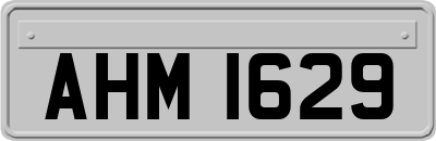 AHM1629