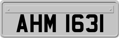 AHM1631