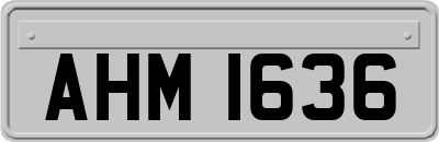 AHM1636
