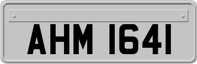 AHM1641