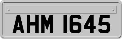 AHM1645