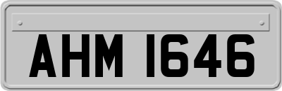 AHM1646