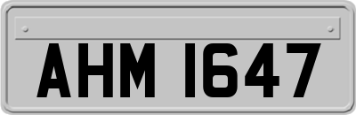 AHM1647