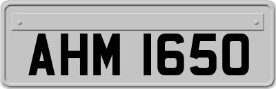 AHM1650
