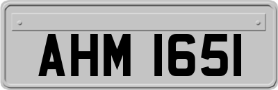 AHM1651