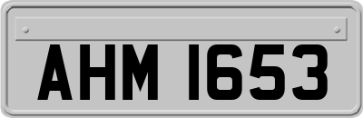 AHM1653