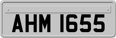 AHM1655