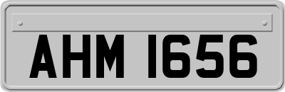 AHM1656