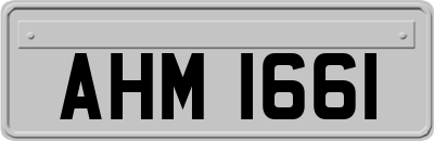 AHM1661