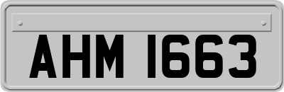 AHM1663
