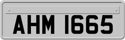 AHM1665