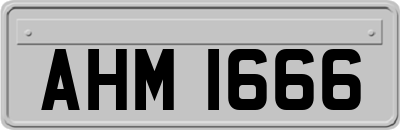 AHM1666