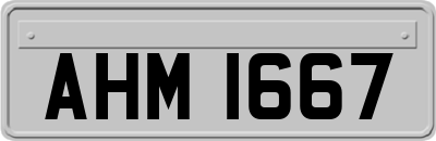 AHM1667