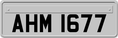 AHM1677