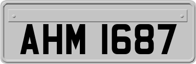 AHM1687