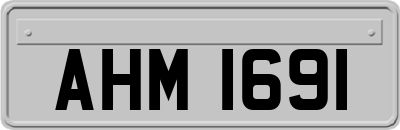 AHM1691
