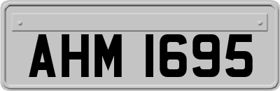 AHM1695