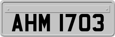 AHM1703