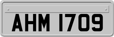 AHM1709