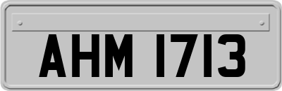 AHM1713
