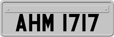 AHM1717