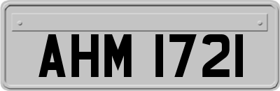 AHM1721