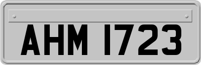 AHM1723