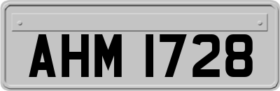 AHM1728