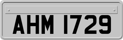 AHM1729