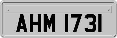 AHM1731