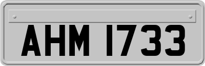 AHM1733