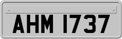 AHM1737