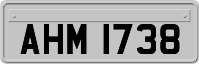 AHM1738
