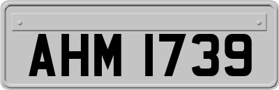AHM1739