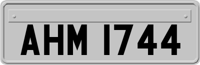 AHM1744