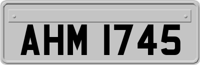 AHM1745