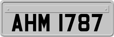 AHM1787
