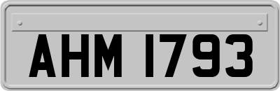 AHM1793