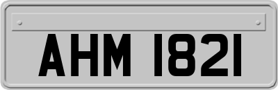 AHM1821