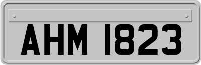 AHM1823
