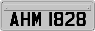 AHM1828