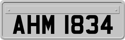 AHM1834