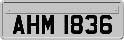 AHM1836